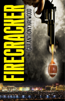 book cover for Firecracker