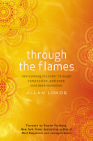 book cover for Through the Flames