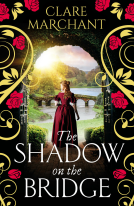 book cover for The Shadow on the Bridge