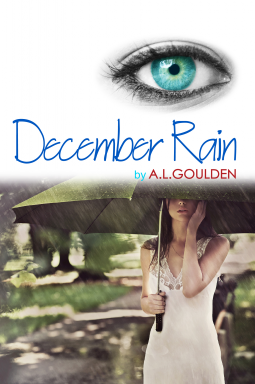 book cover for December Rain