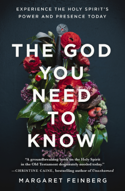 book cover for The God You Need to Know