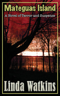 book cover for Mateguas Island