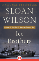 book cover for Ice Brothers