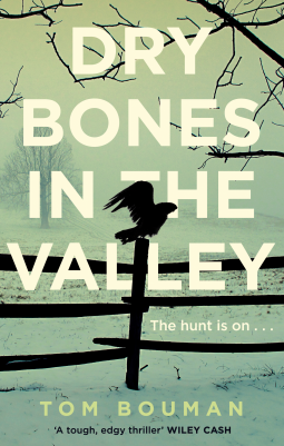 book cover for Dry Bones in the Valley
