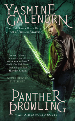 book cover for Panther Prowling