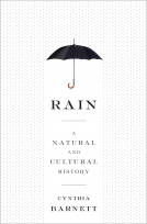 book cover for Rain
