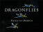 Cover Image: Dragonflies