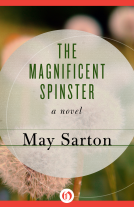 book cover for The Magnificent Spinster