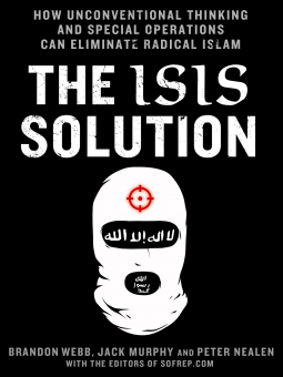 book cover for The ISIS Solution