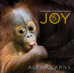 book cover for Joy