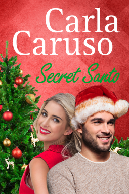 book cover for Secret Santo
