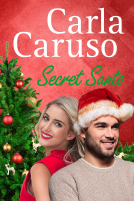 book cover for Secret Santo