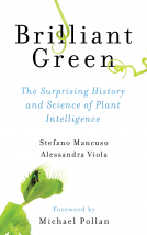 book cover for Brilliant Green