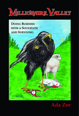 book cover for Millionaire Valley