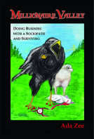 book cover for Millionaire Valley