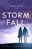 book cover for Storm Fall