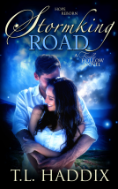 book cover for Stormking Road
