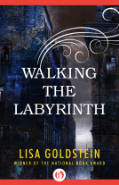 book cover for Walking the Labyrinth