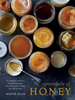 book cover for Spoonfuls of Honey