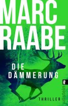 Buchcover für Die Dämmerung (Art Mayer-Serie 2)