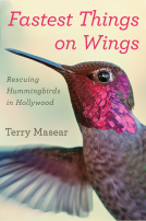 book cover for Fastest Things on Wings