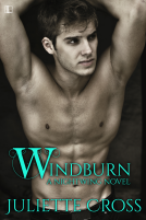 book cover for Windburn