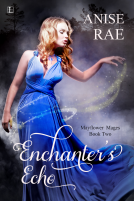 book cover for Enchanter's Echo