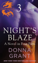 book cover for Night's Blaze: Part 3