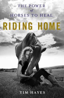book cover for Riding Home
