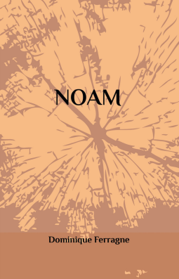 Couverture du livre pour NOAM