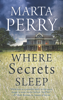 book cover for Where Secrets Sleep