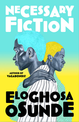 book cover for Necessary Fiction