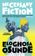 book cover for Necessary Fiction