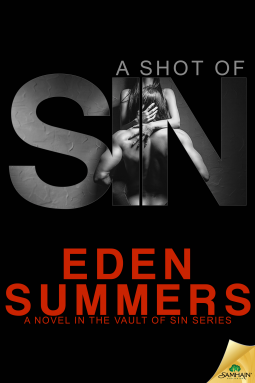 book cover for A Shot of Sin