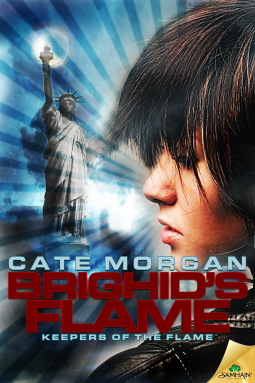 book cover for Brighid's Flame