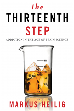 book cover for The Thirteenth Step