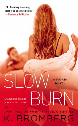 book cover for Slow Burn
