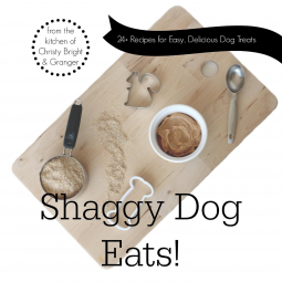 book cover for Shaggy Dog Eats!