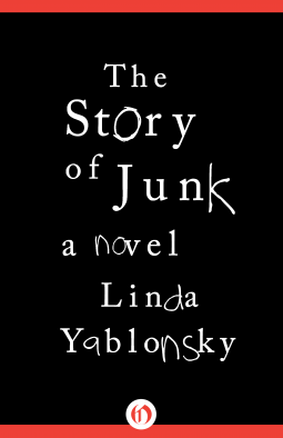 book cover for The Story of Junk