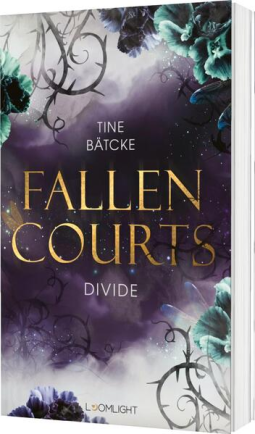 Buchcover für Fallen Courts 2: Divide