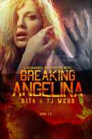 book cover for Breaking Angelina