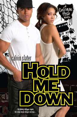 book cover for Hold Me Down