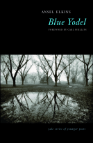 book cover for Blue Yodel