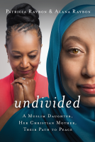 book cover for Undivided