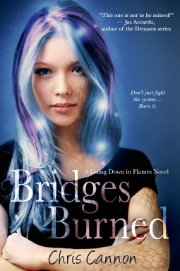 book cover for Bridges Burned (Entangled Teen)