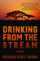 book cover for Drinking from the Stream
