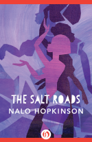 book cover for The Salt Roads