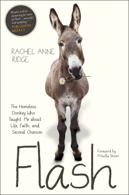 book cover for Flash