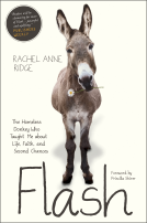 book cover for Flash