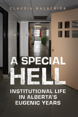 book cover for A Special Hell